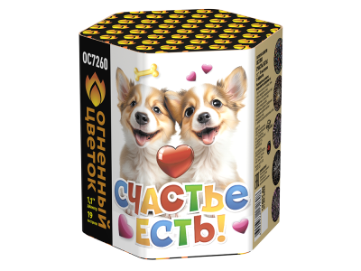 Счастье есть! Салют купить в Балтийске | baltijsk.salutsklad.ru