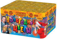 Новогодние цветы Фейерверк купить в Балтийске | baltijsk.salutsklad.ru