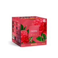 Пионы Салют купить в Балтийске | baltijsk.salutsklad.ru