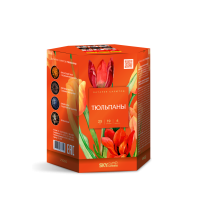 Тюльпаны Салют купить в Балтийске | baltijsk.salutsklad.ru
