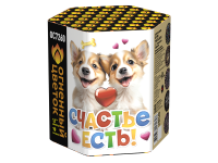 Счастье есть! Салют купить в Балтийске | baltijsk.salutsklad.ru