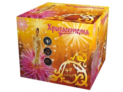 Хризантема Салют купить в Балтийске | baltijsk.salutsklad.ru