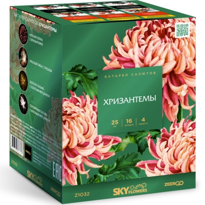 Хризантемы Фейерверк купить в Балтийске | baltijsk.salutsklad.ru