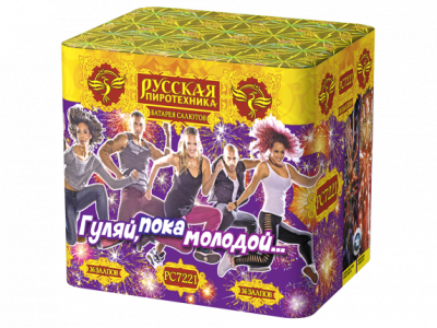 Гуляй, пока молодой Салют купить в Балтийске | baltijsk.salutsklad.ru